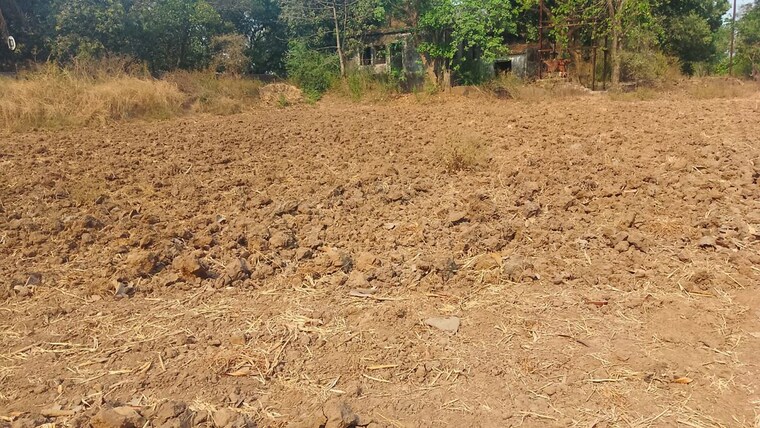 undefined, chirner  1089 Sq.Ft. Plot In Chirner Navi Mumbai 10403203