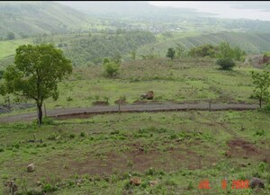 Plot Area in  Plot at Khadakwasla – for Sale