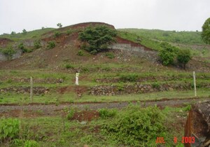  Plot – Garden View at Khadakwasla - for Sale