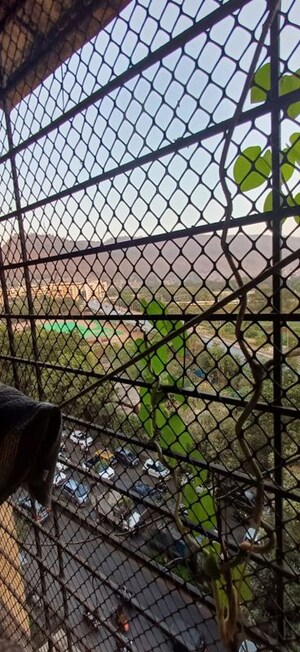 Balcony in 1 BHK Apartment at Kalwa – for Sale