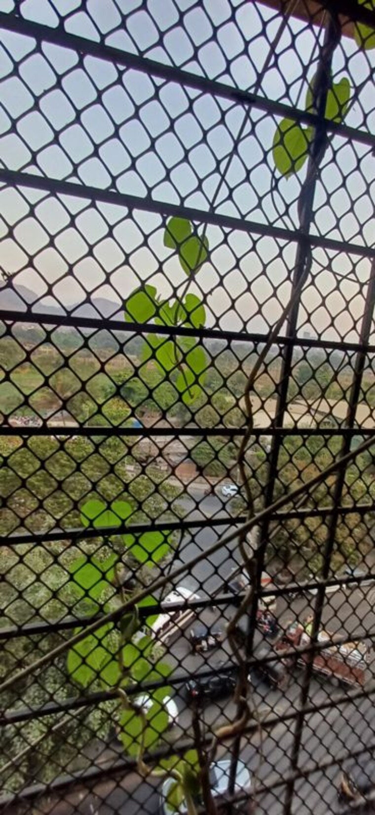Balcony, kalwa 1 Bedroom 650 Sq.Ft. Apartment In Kalwa Thane 10403457