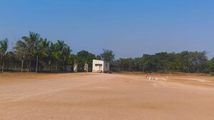  Land For Sale in Shankarpalli