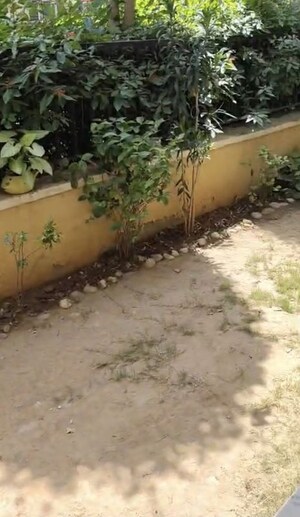 Balcony in 3 BHK Apartment at Emaar Emerald Floors, Sector 65 – for Sale