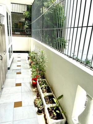 Balcony in 3 BHK Builder Floor at Mayfield Garden – for Rent