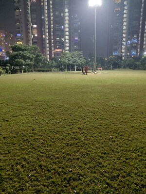 2.5 BHK Apartment – Garden View at Raj Nagar Extension - for Rent