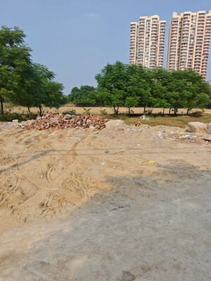 Plot Area in  Plot at Shahberi – for Sale
