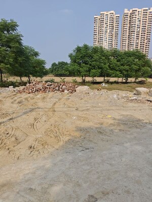 Plot Area in  Plot at Shahberi – for Sale
