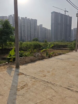 Plot – Exterior View View at Shahberi - for Sale