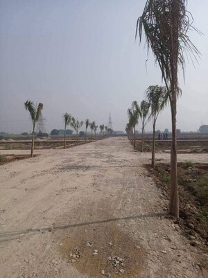Plot Area in  Plot at Anand Niketan, Devla – for Sale