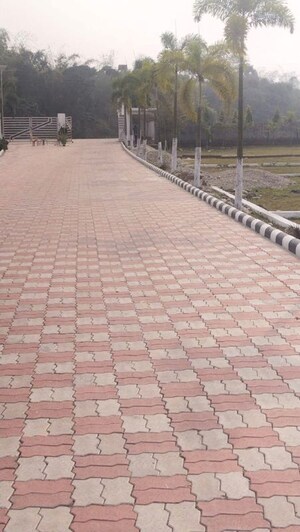   Plot at Anand Niketan, Devla – for Sale