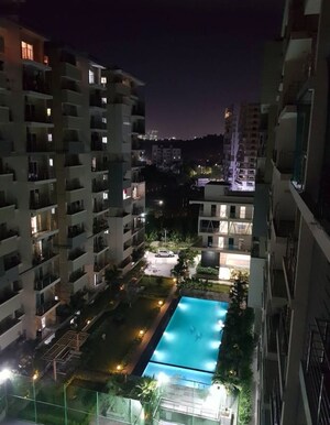 2 BHK Apartment For Rent in Niharika Exotica, Gachibowli