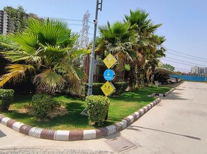 3.5 BHK Apartment – Garden View at Pareena Coban Residences, Sector 99a - for Sale
