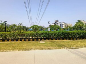 Plot Area in 3.5 BHK Apartment at Pareena Coban Residences, Sector 99a – for Sale
