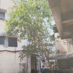  Apartment – Exterior View View at Vangani - for Sale