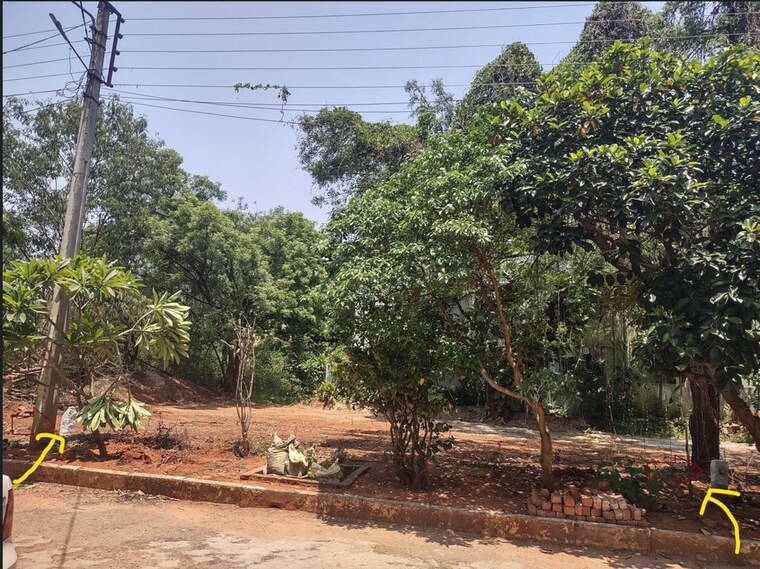undefined, devaryamjal  200 Sq.Yd. Plot In Devaryamjal Hyderabad 10377912