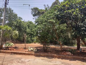 Plot Area in  Plot at Devaryamjal – for Sale