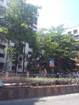 1 RK Apartment For Rent in Kalpana CHS Borivalli, Borivali West