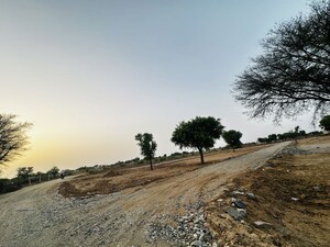 Plot Area in  Plot at Panwaliya – for Sale