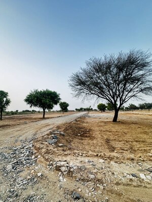  Plot For Sale in Panwaliya