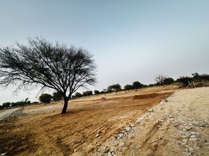 Plot Area in  Plot at Panwaliya – for Sale