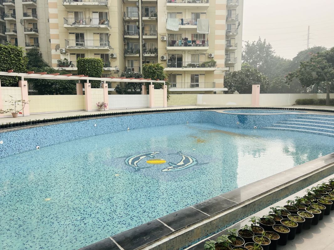 3 BHK + Study Room Apartment For Rent in Bestech Park View City 1