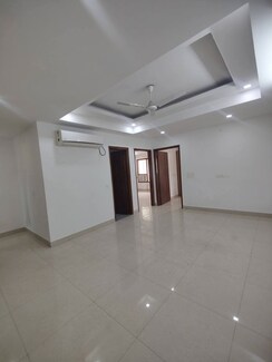 3 BHK + Pooja Room,Servant Room,Study Room,Extra Room,Basement,Store Room Builder Floor For Rent in Sector 9