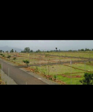 Plot Area in  Plot at Sector 14 – for Sale