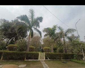 Master Bedroom in 2 BHK Independent House at Sector 37 Greater Noida – for Rent