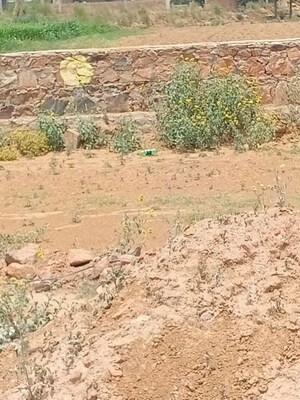 Plot Area in  Plot at U I T – for Sale