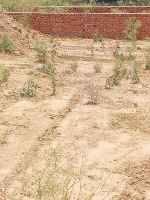 Plot Area in  Plot at U I T – for Sale