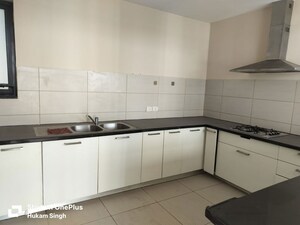 Kitchen in 3 BHK Apartment at Ireo The Grand Arch, Sector 58 – for Rent