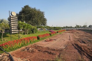 Plot Area in  Plot at Meffier Golden Park, Sohna Sector 4 – for Sale