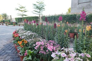  Plot – Garden View at Meffier Golden Park, Sohna Sector 4 - for Sale