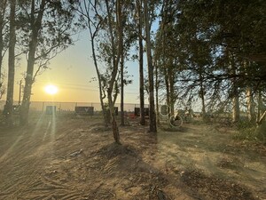 Plot Area in  Showroom at Aerocity – for Sale