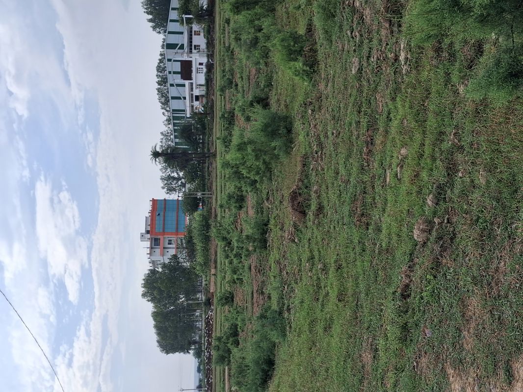 Plot For Sale in Sohna