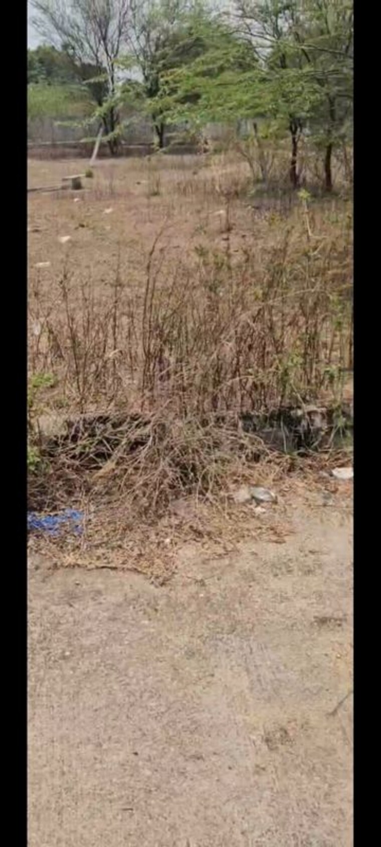 undefined, aditya-township  460 Sq.Yd. Plot In Adibatla Hyderabad 10407271
