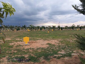 Plot Area in  Plot at Vasudaika Henley Woods, Nagreddipalli – for Sale