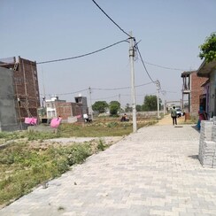 Plot For Sale in Sector 50