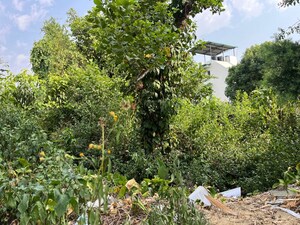  Plot – Garden View at Laxman Chowk - for Sale