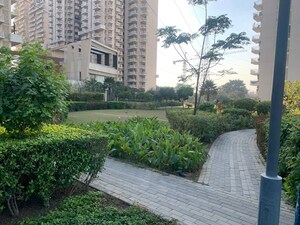 2.5 BHK Builder Floor – Exterior View View at Smart World Orchard, Sector 61 - for Rent