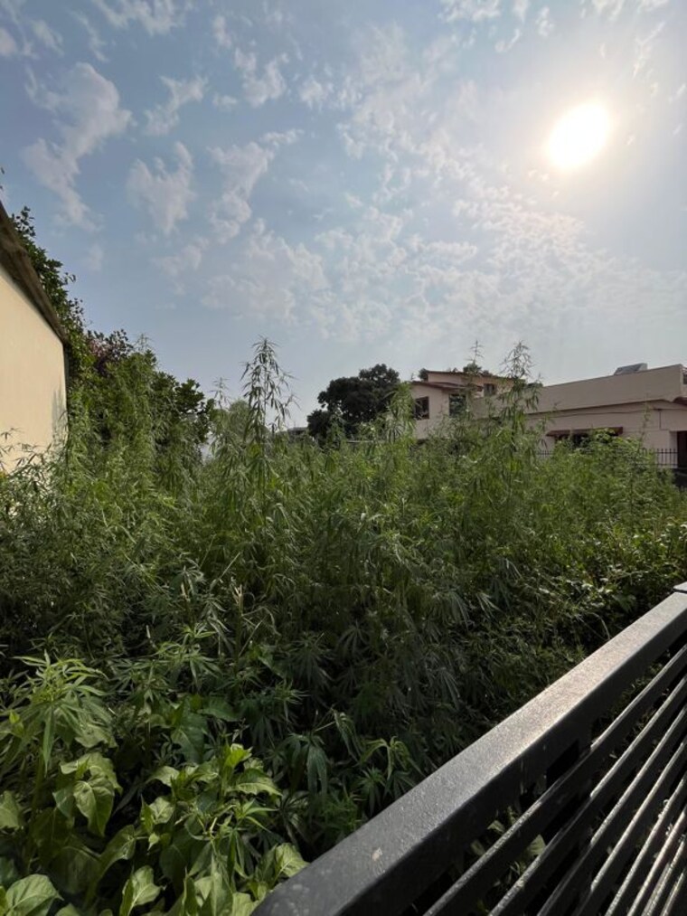 Exterior View, laxman chowk  367 Sq.Yd. Plot In Laxman Chowk Dehradun 10407754