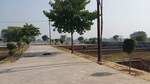 151 Sq.Yd. Plot in Sector 47