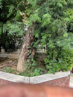 Plot Area in  Plot at Laxman Chowk – for Sale