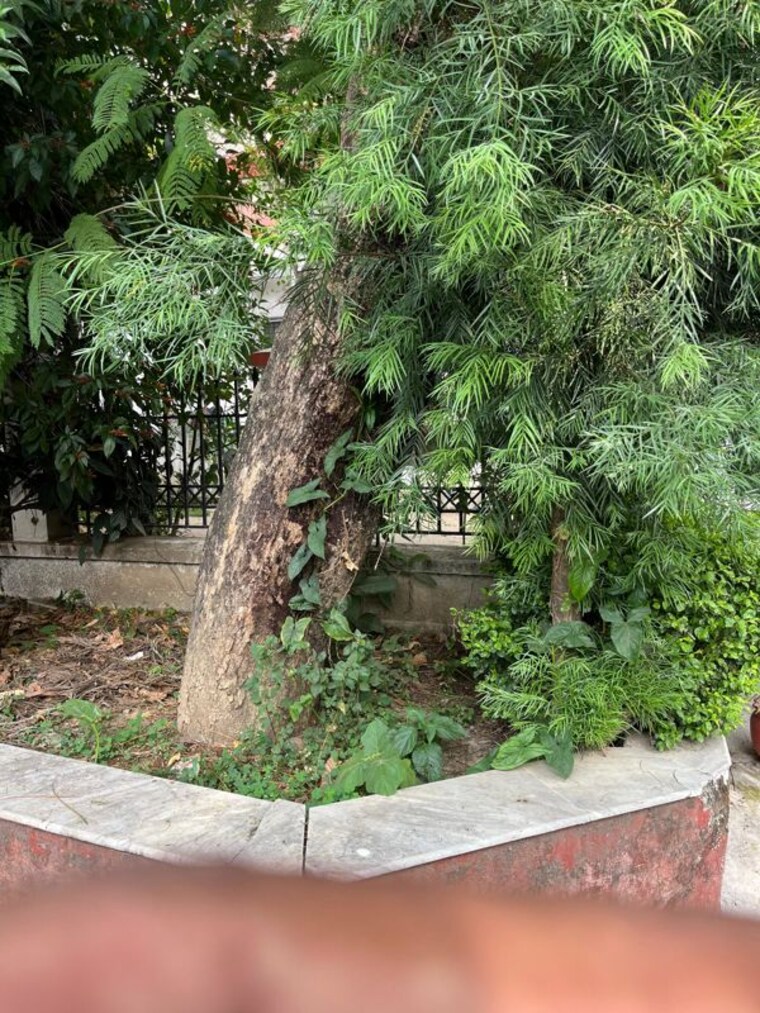 undefined, laxman chowk  200 Sq.Yd. Plot In Laxman Chowk Dehradun 10407777