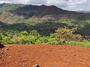 Plot Area in  Plot at Male – for Sale