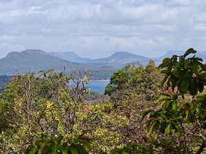  Plot For Sale in Male