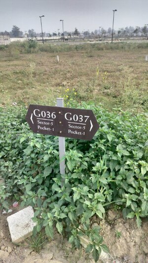 Plot Area in  Plot at Pintail Park City, Mastemau – for Sale