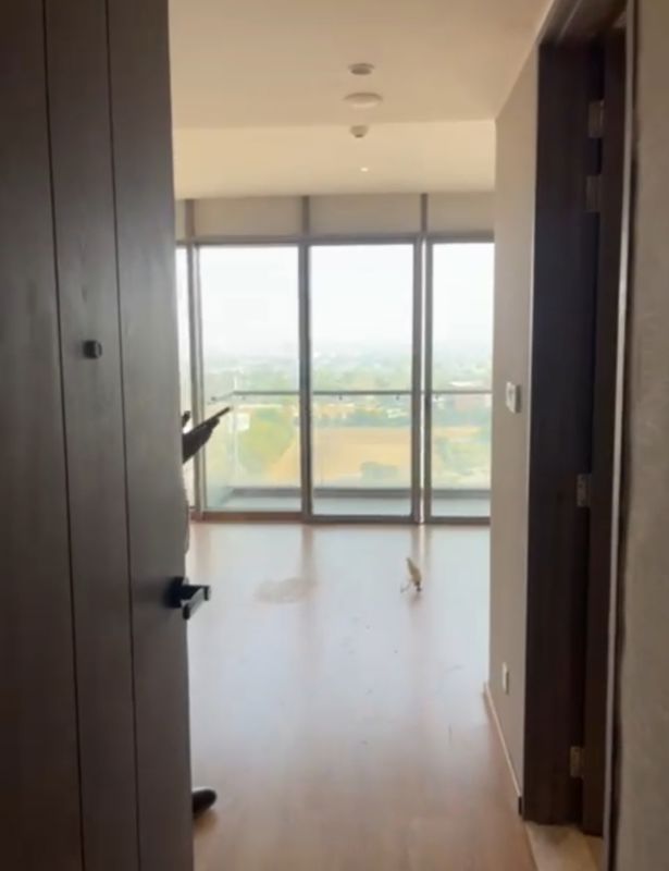 1 BHK Apartment For Rent in M3M My Den