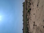 500 Sq.Yd. Plot in Sohna