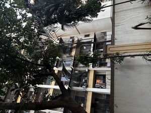 1 BHK Apartment For Rent in Shiv Krupa, Kharghar